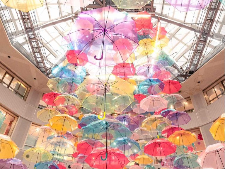 Kyoto Vivre’s Colorful Rainy Season Display