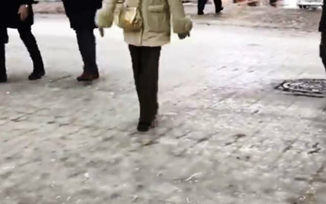 Japanese Twitter Amazed by Hokkaido Residents’ Adorable Penguin Walk on Icy Roads (Video)