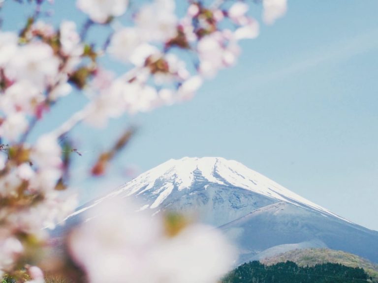 5 Instagram accounts to follow to get that fix if you’re missing Japan