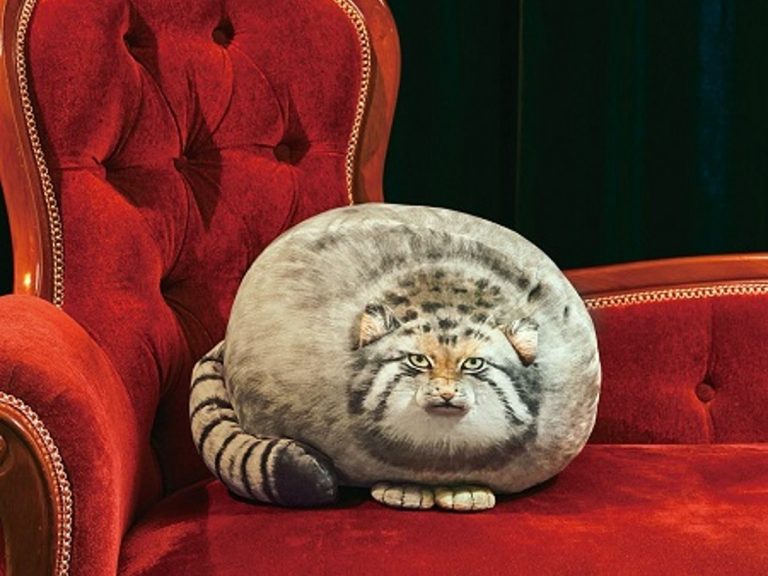 The too round and squishy Pallas’s Cat cushion plushie is a chonky cat lover’s dream come true