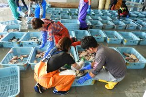 Joban-Mono:  The Most Delicious Fish In Japan Powering Fukushima’s Revival