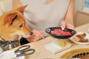Japanese Yakiniku Chain Lets You BBQ And Eat Along With Your Dog