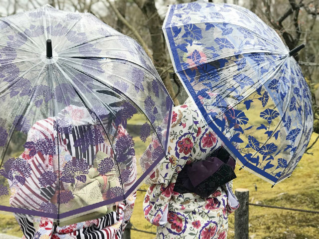 Clear Japanese Umbrellas With Traditional Art Motifs Pair