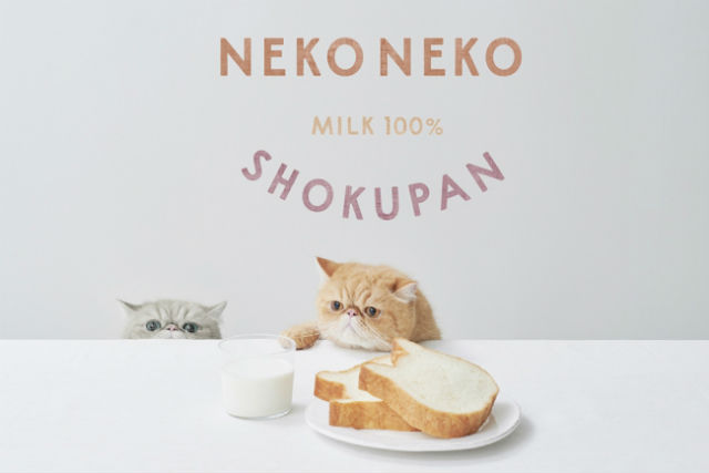 Tokyo Bakery Goes All In On New Extra Fluffy Cat Shaped Bread