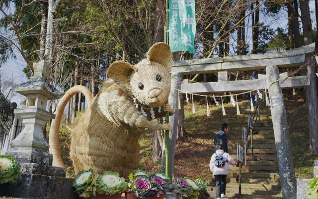 Local Senior Citizens Build Beautiful Straw “Year of The Rat” Guardian In Front Of Shrine