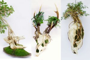 Animal Skull Bonsai Trees Weave Life and Death Together in Darkly Beautiful Art