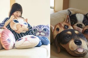 Big-Eyed Realistic Cat And Dog Head Cushions Are Here To Stare Into Your Soul And Provide Cuddles