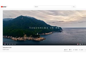 The Enchanting Forests Of Yakushima Explored In Stunning 8K Video