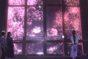 Tokyo Tower’s New Digital Sakura Mapping Installation Lets You Make Cherry Blossoms Fall With Your Hands