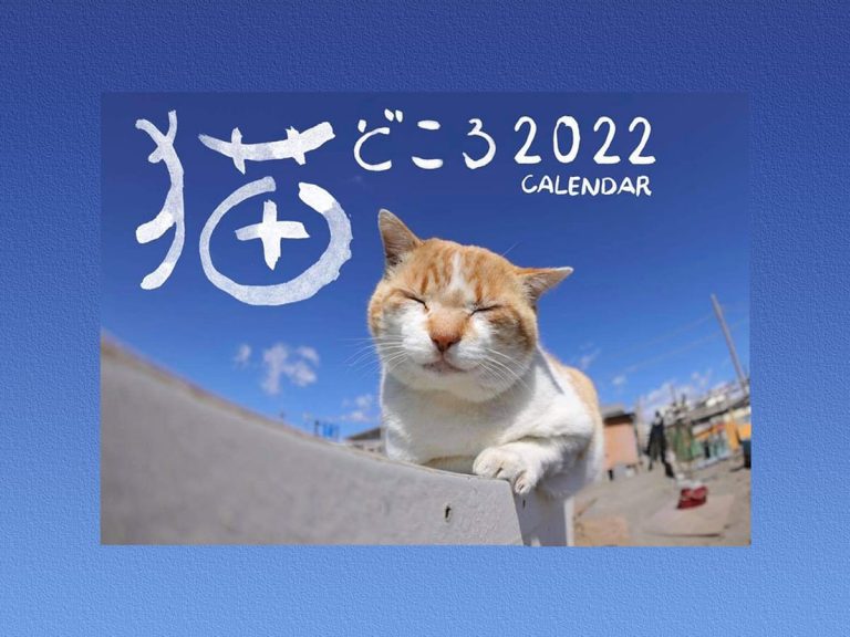 Cute cats from all over Japan converge in Nekodokoro 2022 Calendar