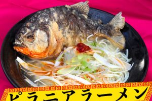 Take A Bite Out Of The World’s First Piranha Ramen In Japan