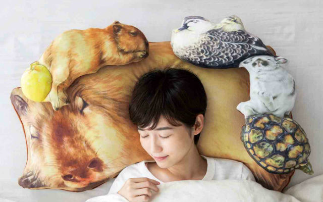 Have Chill Rodent Dreams With Adorable Capybara Pillow Covers