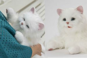 Japan’s New Meowing, Purring, Realistic Robot Cat Companion Loves You The More You Play With It