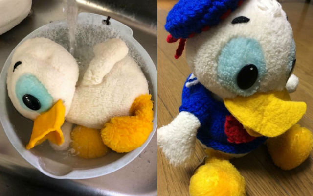 Japanese Museum Looks Over Child’s Lost Stuffed Animal For 30 Years, Provides Bath And New Clothes