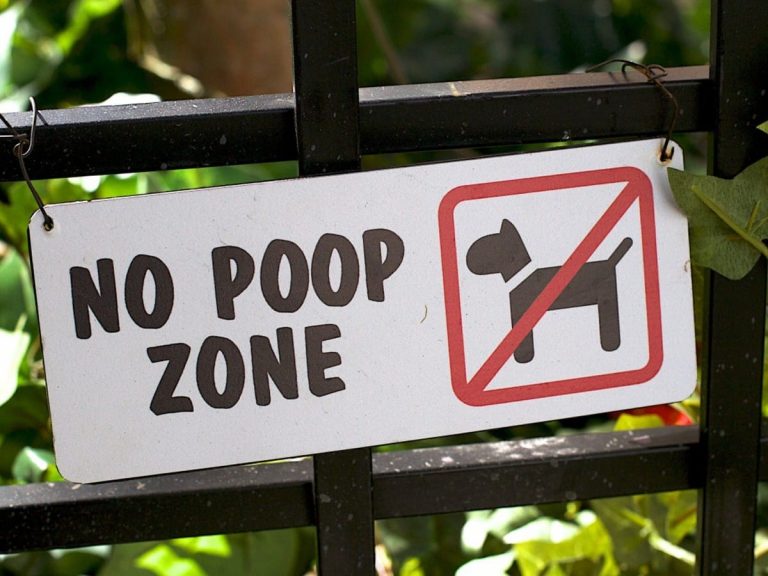 The ultimate penalty for inconsiderate owners who don’t pick up their pet’s poo [manga]