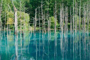 The Secrets of Hokkaido’s Mysterious Blue Pond