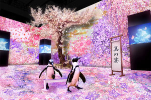 Sakura Aquarium Display in Tokyo Includes Penguin Performance and Cherry Blossom Digital Art by Naked