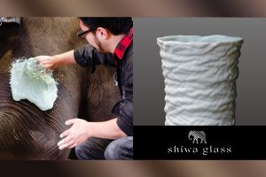 Japanese company makes world’s first glass faithfully reproducing elephant skin texture