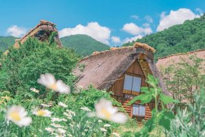 Photographer finds charming Japanese countryside scenes that look right out of an anime