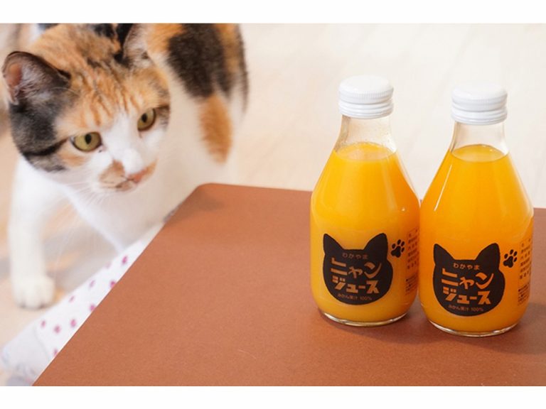 Japanese organizations battle food loss and save cats with delicious mikan “Meow Juice”