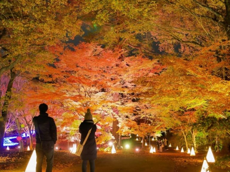 My top 5 recommendations of things to see and do during November in Japan