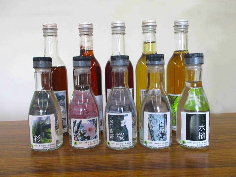 New Flavors to Savor: The Blossoming of Tree-based Alcoholic Drinks