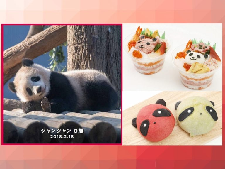 Ueno department store bids farewell to giant panda through adorable panda sweets & souvenirs