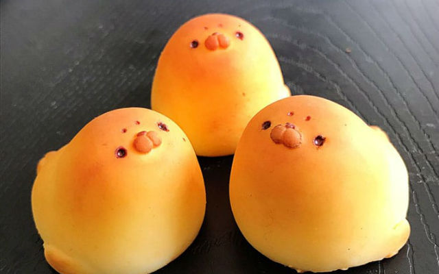 These Adorable Squishy Seal Buns Demand To Be Poked!