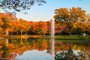 6 Most Beautiful Autumn Leaf Viewing Spots in and Around Tokyo